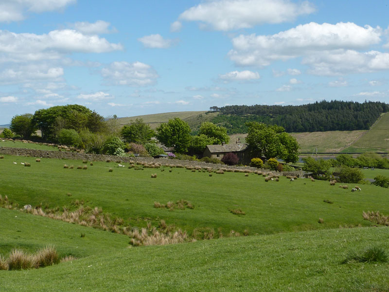 Windy Harbour Farm